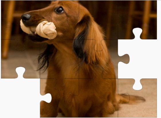 jigsaw puzzle - dogs