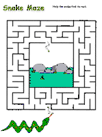 Snakes Activites