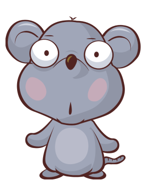 Year of the Rat
