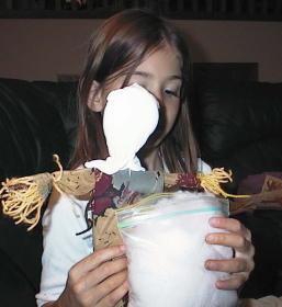 craft instructions