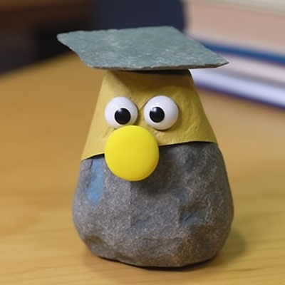 pet rock with rock cap