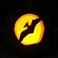 pumpkin carving template