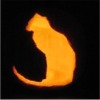 Cat Pattern Template #2