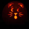 Cat Pattern #3