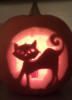 Cat Pattern Template #4