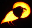 raven and moon pumpkin pattern