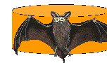 Halloween Napkin Ring Craft