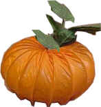 pumpkin dryer vent