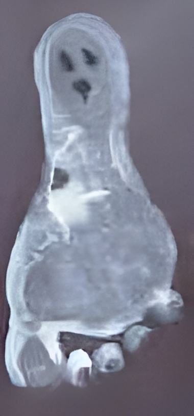 ghost footprint craft