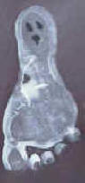 ghost footprint craft