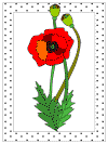 veteran's day coloring pages