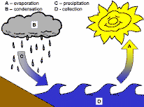 The Water Cycle