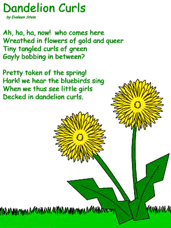 Dandelion Curls poem Evaleen Stein