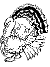 thanksgiving coloring pages