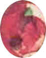 Tissue Paper Dyed Easter Eggs