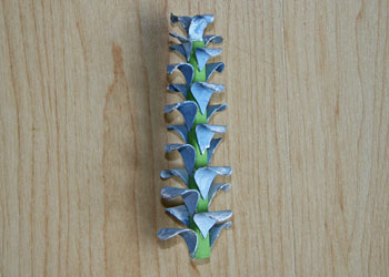cardboard bouquet craft