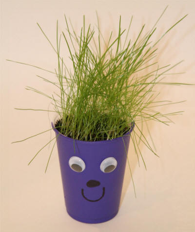 Grass Seed Cup Craft