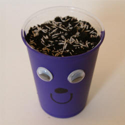 Grass Seed Cup Craft