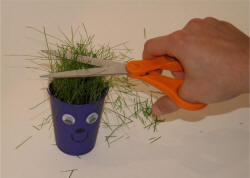 Grass Seed Cup Craft