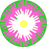 flower paper plate
