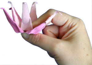 hold the petals