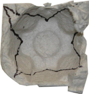 egg carton cup