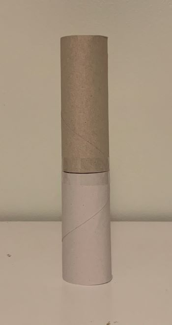 Toilet Paper Roll Flower Craft