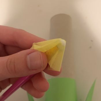 Toilet Paper Roll Flower Craft