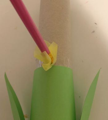 Toilet Paper Roll Flower Craft