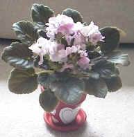 plant pot craft for kids