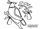 Christmas coloring pages