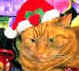 Christmas activities for kids