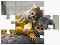 Monkey On-Line Jigsaw Puzzles