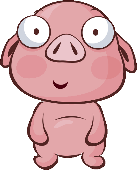 Year of the Pig