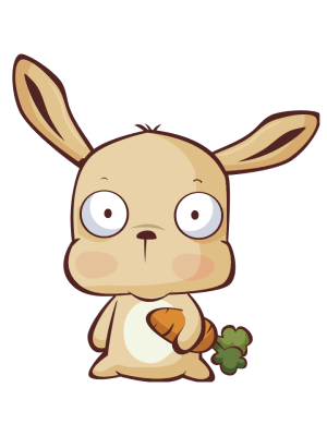 Year of the Rabbit