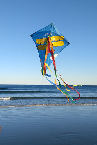 National Kite Flying Day
