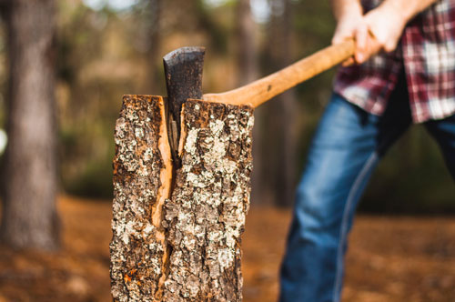 Lumberjack photo on Unsplash.com