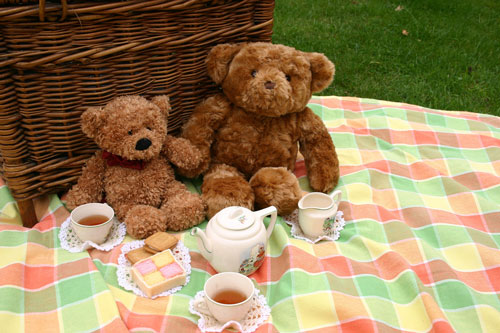 Teddy Bear's Picnic Day