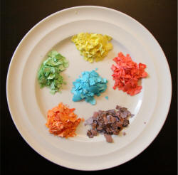 Egg Shell Coloring Craft