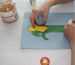 Gluing the popcorn to the paper cob.
