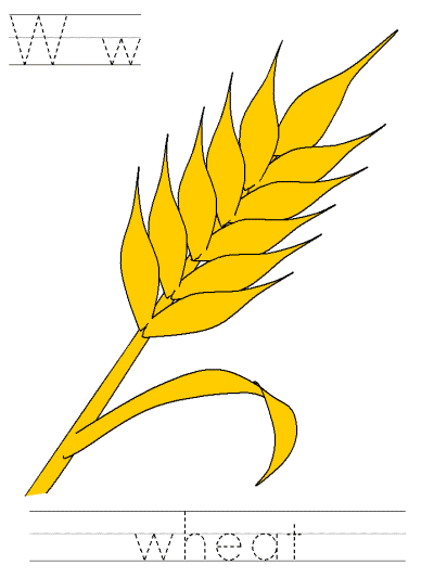autumn tracer page - Ww wheat