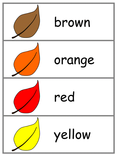 fall Word Wall Words