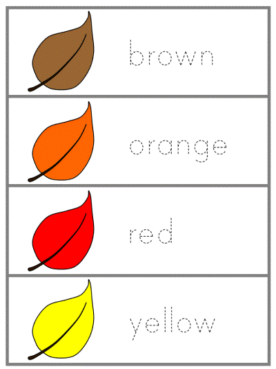 fall Word Wall Words