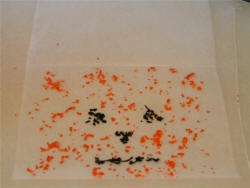 Stained Glass Halloween Craft 1