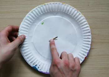 Colour changing heart paper plate craft