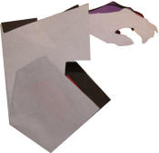 folded jacket