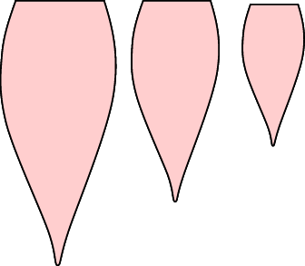 petal sizes