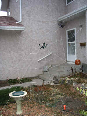 halloween spiderweb