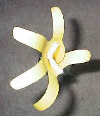Handprint Lilies