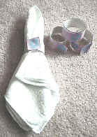 napkin ring craft